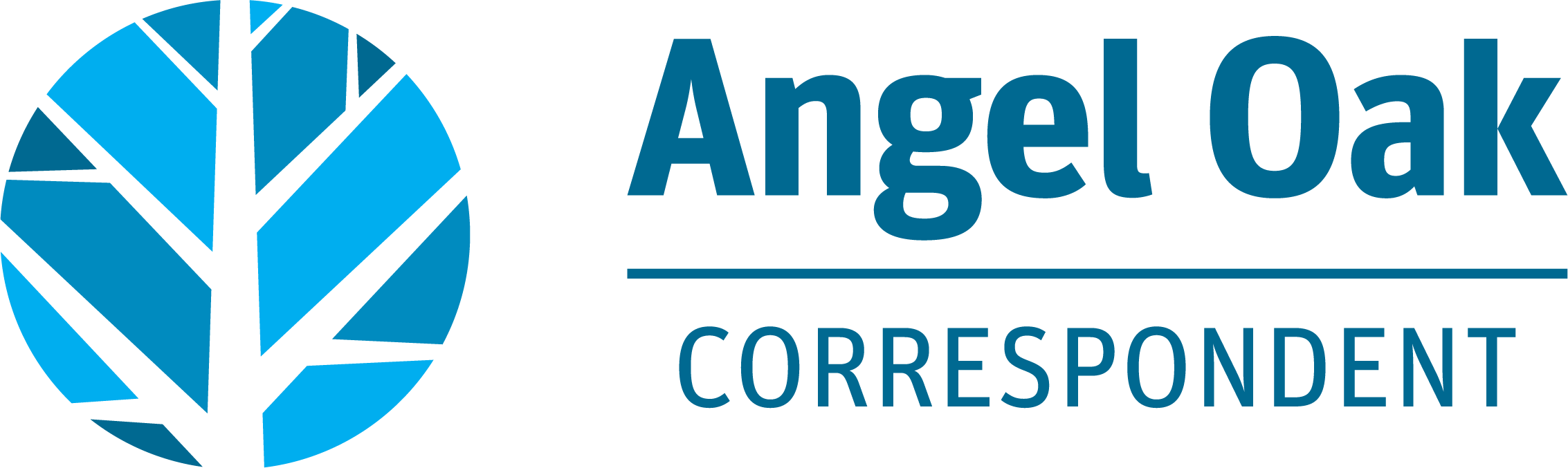 Correspondent | Angel Oak Mortgage Solutions